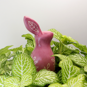 Lapin à planter rose