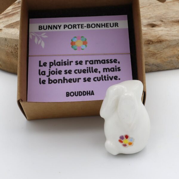 Bunny Porte-bonheur - Fleur multicolore