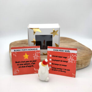 Bunny Porte-bonheur - Edition spéciale Noël