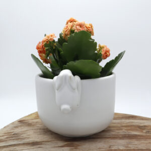 Pot de fleur blanc mat avec un lapin décoratif