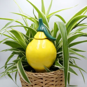 Oya citron Victoria Céramique