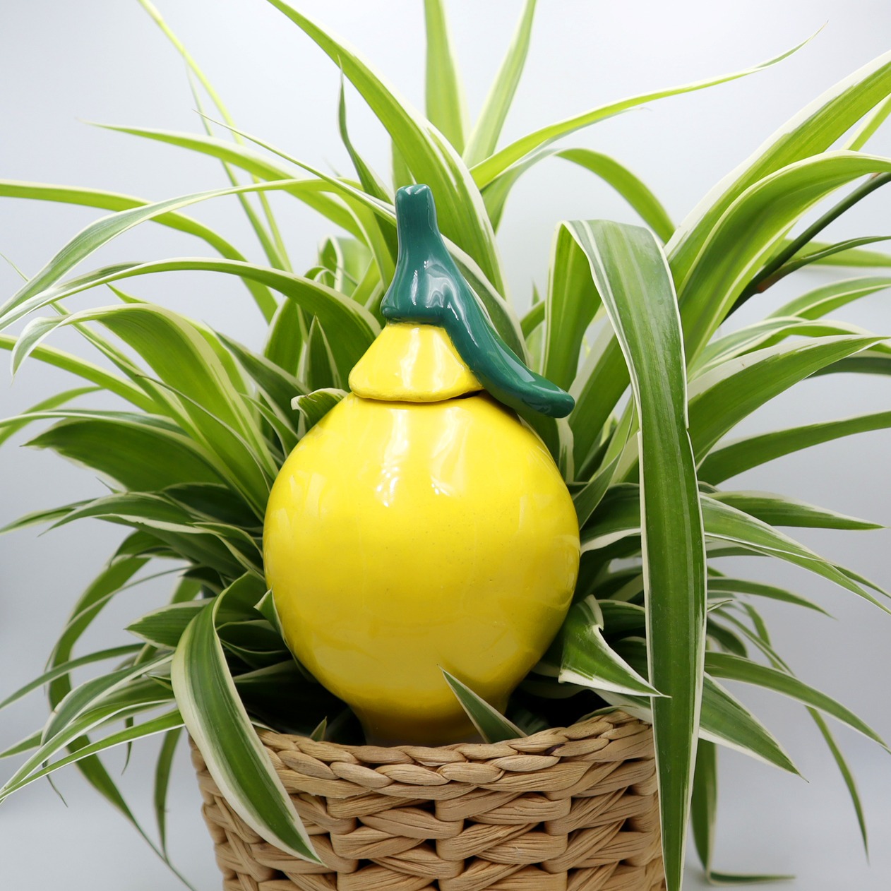 Oya citron Victoria Céramique