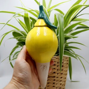 Oya citron Victoria Céramique