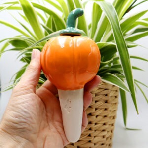 Oya courge Victoria Céramique
