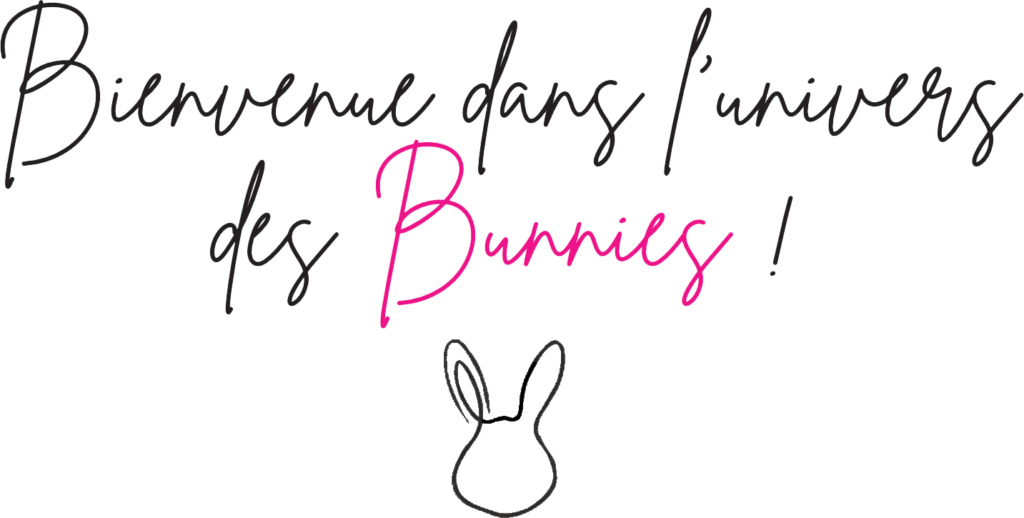 bienvenuedansluniversdesbunnies2