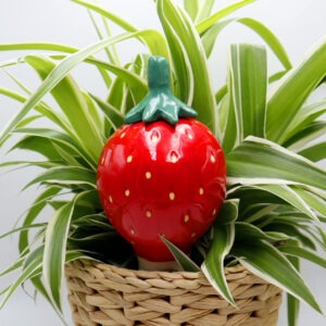 Oya fraise Victoria Céramique