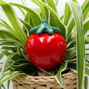 Oya tomate Victoria Céramique